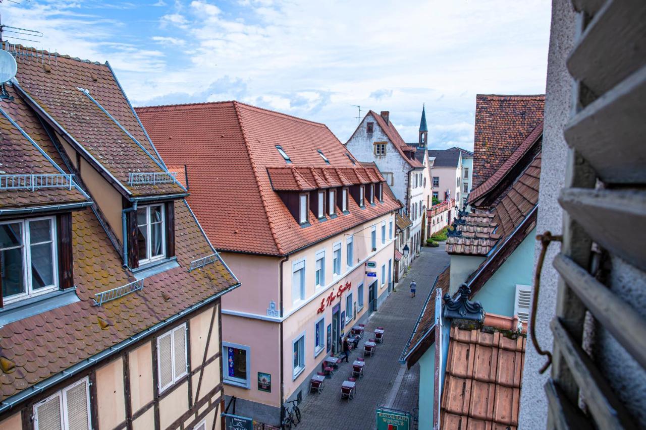 Le Rapp - Centre Historique - Wifi - Tout Confort Кольмар Экстерьер фото
