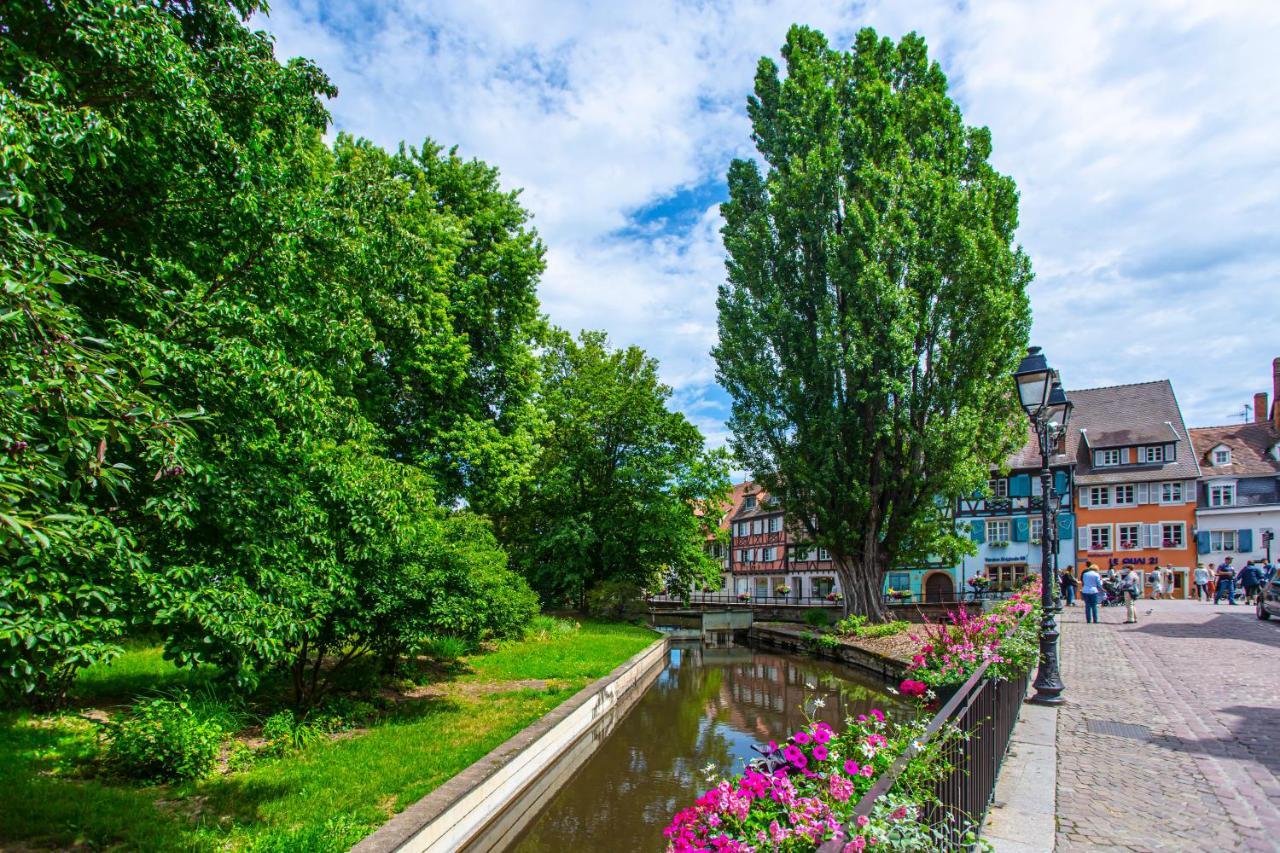 Le Rapp - Centre Historique - Wifi - Tout Confort Кольмар Экстерьер фото